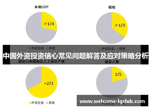 中国外资投资信心常见问题解答及应对策略分析