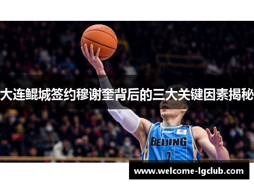 大连鲲城签约穆谢奎背后的三大关键因素揭秘
