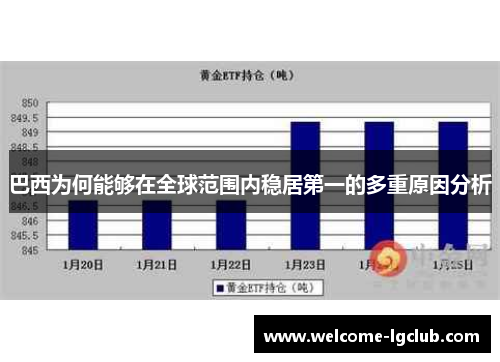 巴西为何能够在全球范围内稳居第一的多重原因分析