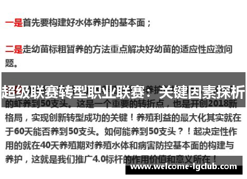 超级联赛转型职业联赛：关键因素探析