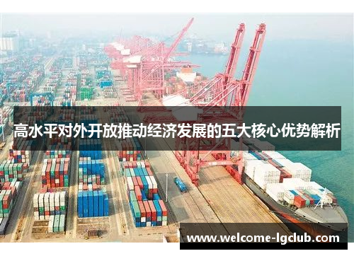 高水平对外开放推动经济发展的五大核心优势解析 高水平对外开放推动经济发展的五大核心优势解析