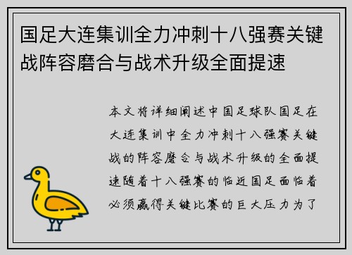 国足大连集训全力冲刺十八强赛关键战阵容磨合与战术升级全面提速