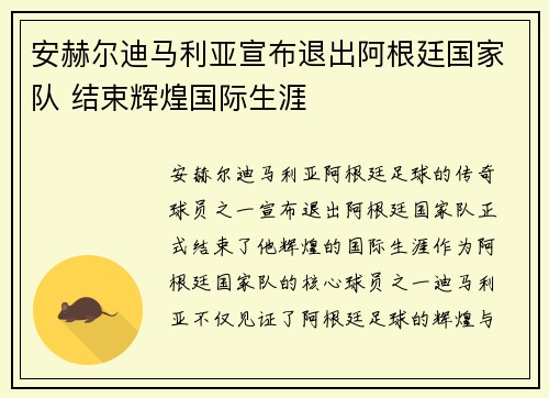 安赫尔迪马利亚宣布退出阿根廷国家队 结束辉煌国际生涯 安赫尔迪马利亚宣布退出阿根廷国家队 结束辉煌国际生涯